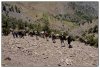 13/toubkal 67 kim.jpg
